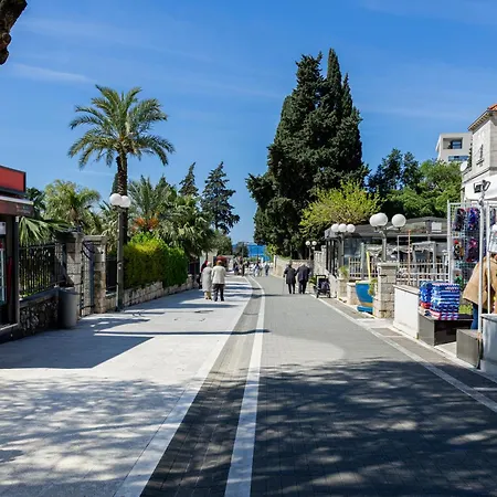 Ruza Πανσιόν 3*